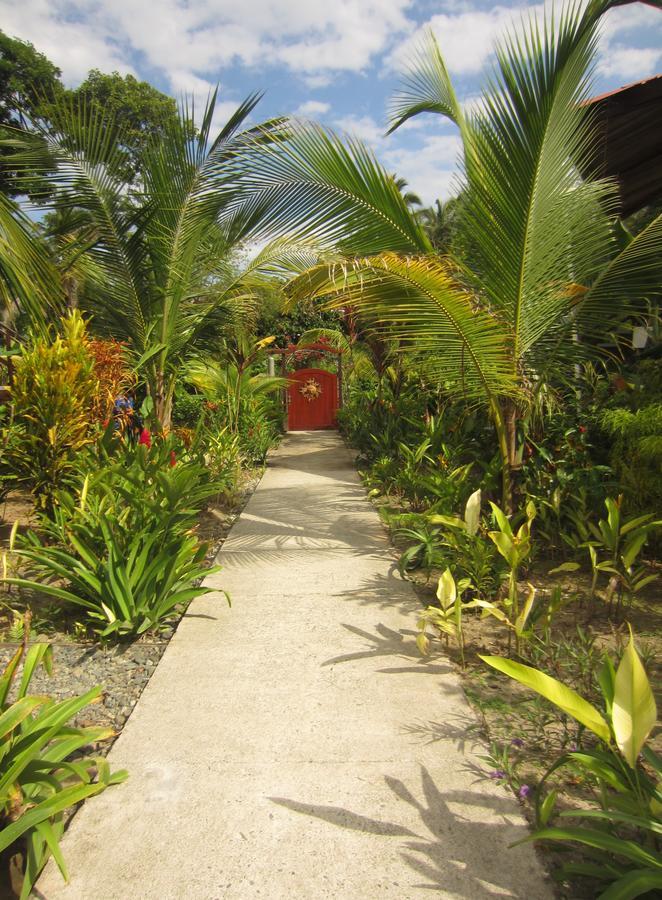 Casa Abundancyah B&B 博卡斯德尔托罗 外观 照片