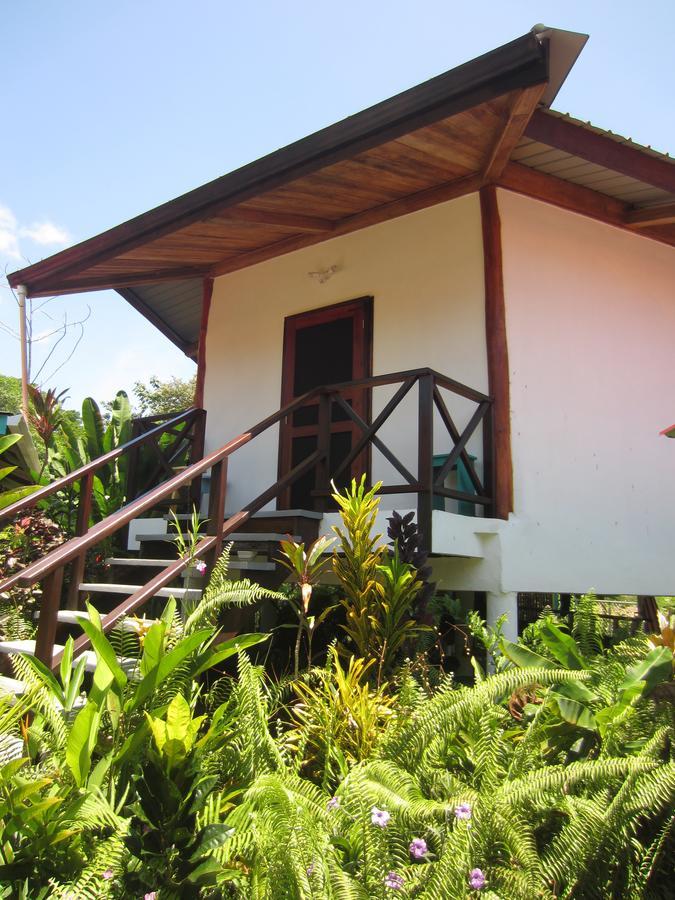 Casa Abundancyah B&B 博卡斯德尔托罗 外观 照片